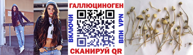 Галлюциногенные грибы Magic Shrooms  Омутнинск 